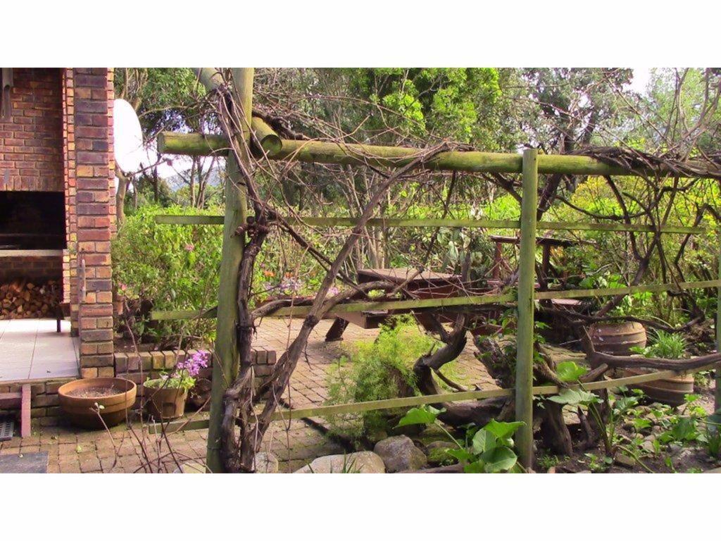 Forest Nest Cottage, Tsitsikamma Stormsrivier Exterior foto